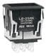 NKK Switches LB25RKW01