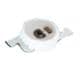 ams OSRAM LA P47F-V2BB-24-3A4B