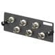 Panduit FAP6WSTZ