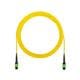 Panduit F9TCN5NNNSNM001