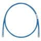 Panduit UTP28SP11BU