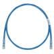 Panduit UTP28SP15BU