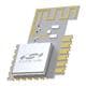 Silicon Labs MGM210LA22JIF2