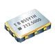 TXC Corporation BS-100.000MBC-T