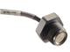 Measurement Specialties LM31-00000F-015PG