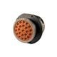 TE Connectivity / DEUTSCH HDP24-24-23ST